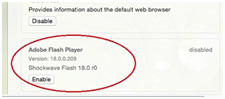 ⇒ How to enable Adobe Flash Player, For all browsers