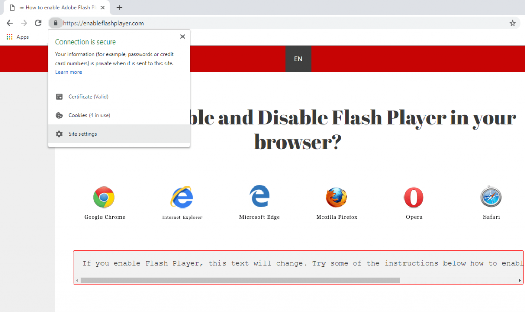 flash player version check chrome